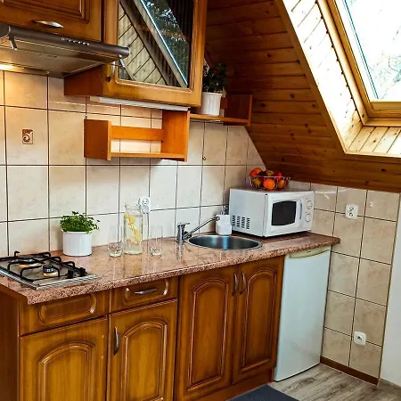 I U Doroty Проживание в семье Карпач